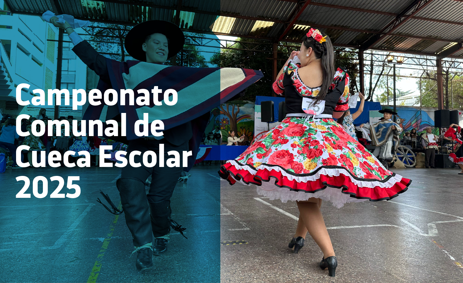 BANNER CAMPEONATO DE CUECA